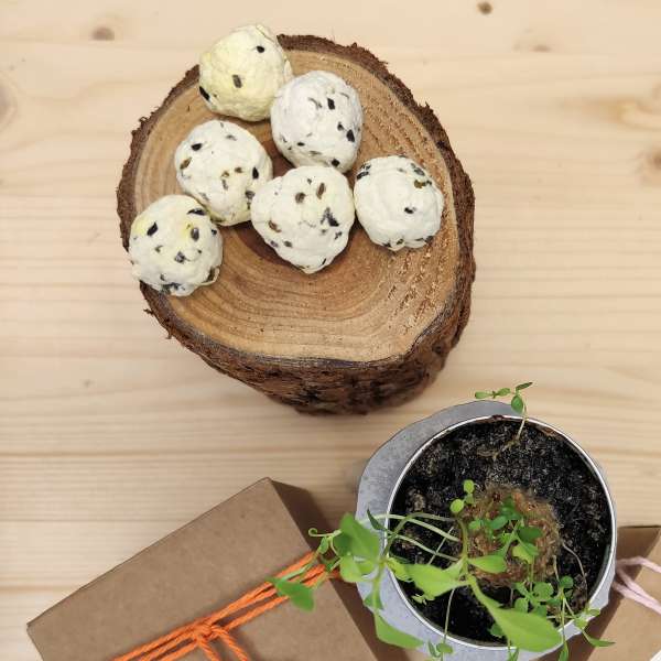 bombe di semi bomboniere battesimo bimba ecofattoart